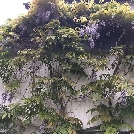 Apartamento Rheintalblick 2 By Interhome *