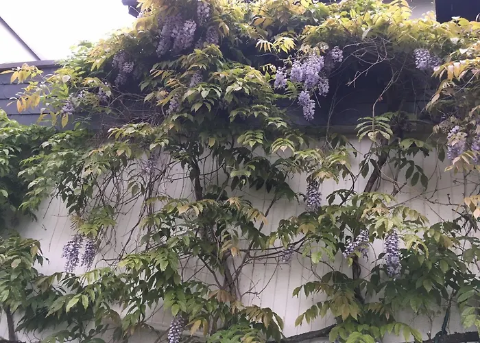 Apartamento Rheintalblick 2 By Interhome *